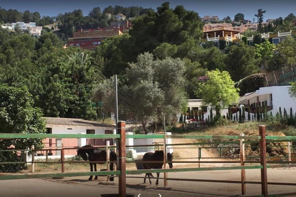 Denia - Golf La Sella "Refugio Marino" Daire Pedreguer Dış mekan fotoğraf