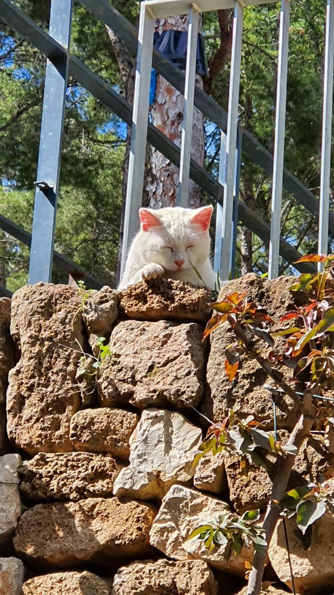 Denia - Golf La Sella "Refugio Marino" Daire Pedreguer Dış mekan fotoğraf